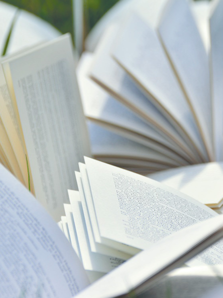 Bücher liegen im Gras