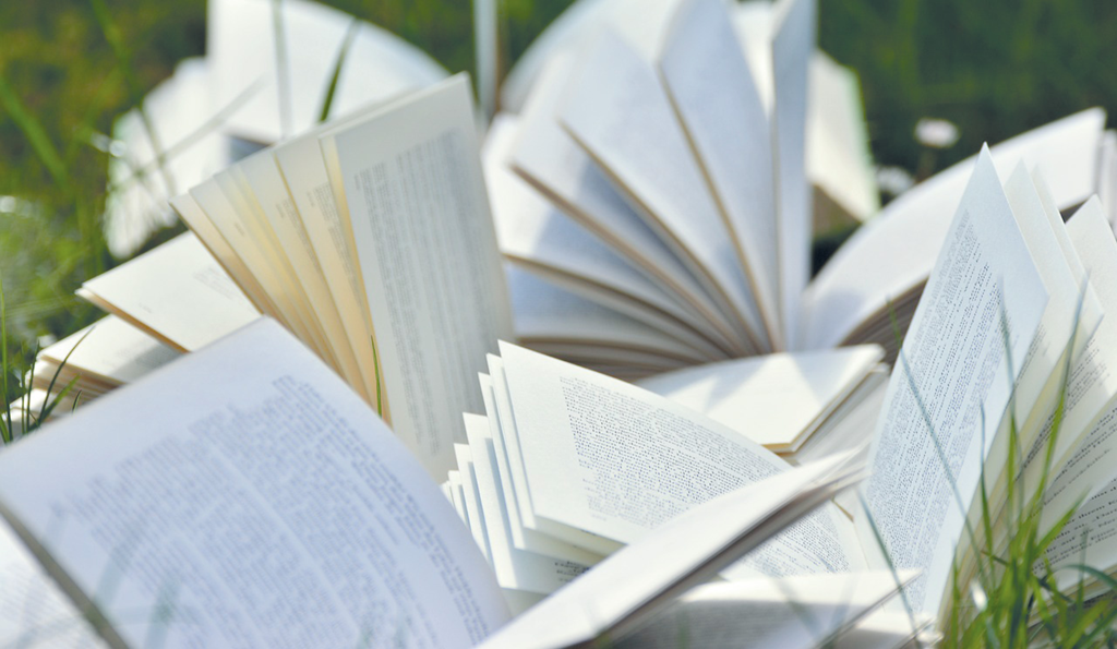 Mehrere aufgeschlagene Bücher liegen auf Gras, Seiten wehen im Wind